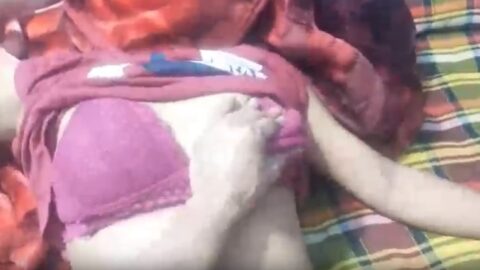 Viral sex video of a Bengali